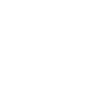 Custom icon