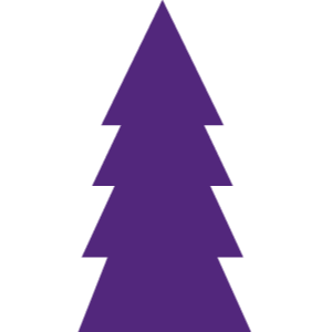 Custom icon
